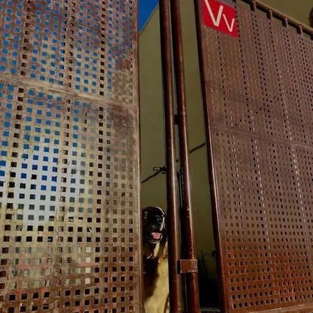 公寓 Acogedor Verodes De Habitacion. 圣米格尔德阿沃纳