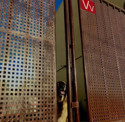 Apartment Acogedor Verodes De Habitacion. San Miguel de Abona